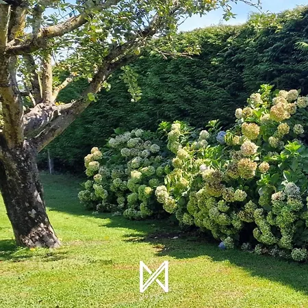 Feriegård Mystay - Quinta Do *